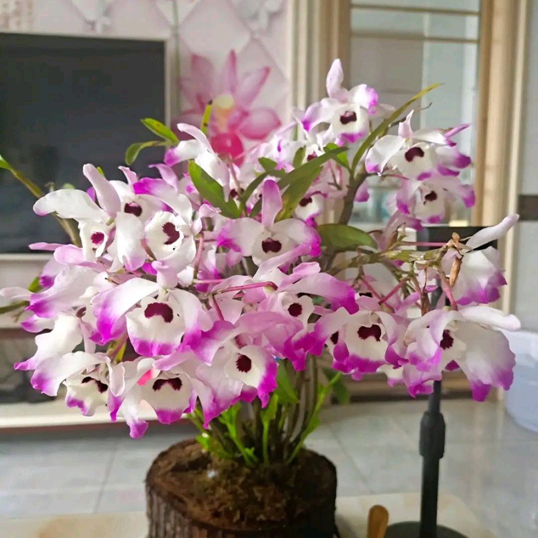 ღ抓紧搞钱꧔ℓ᭄