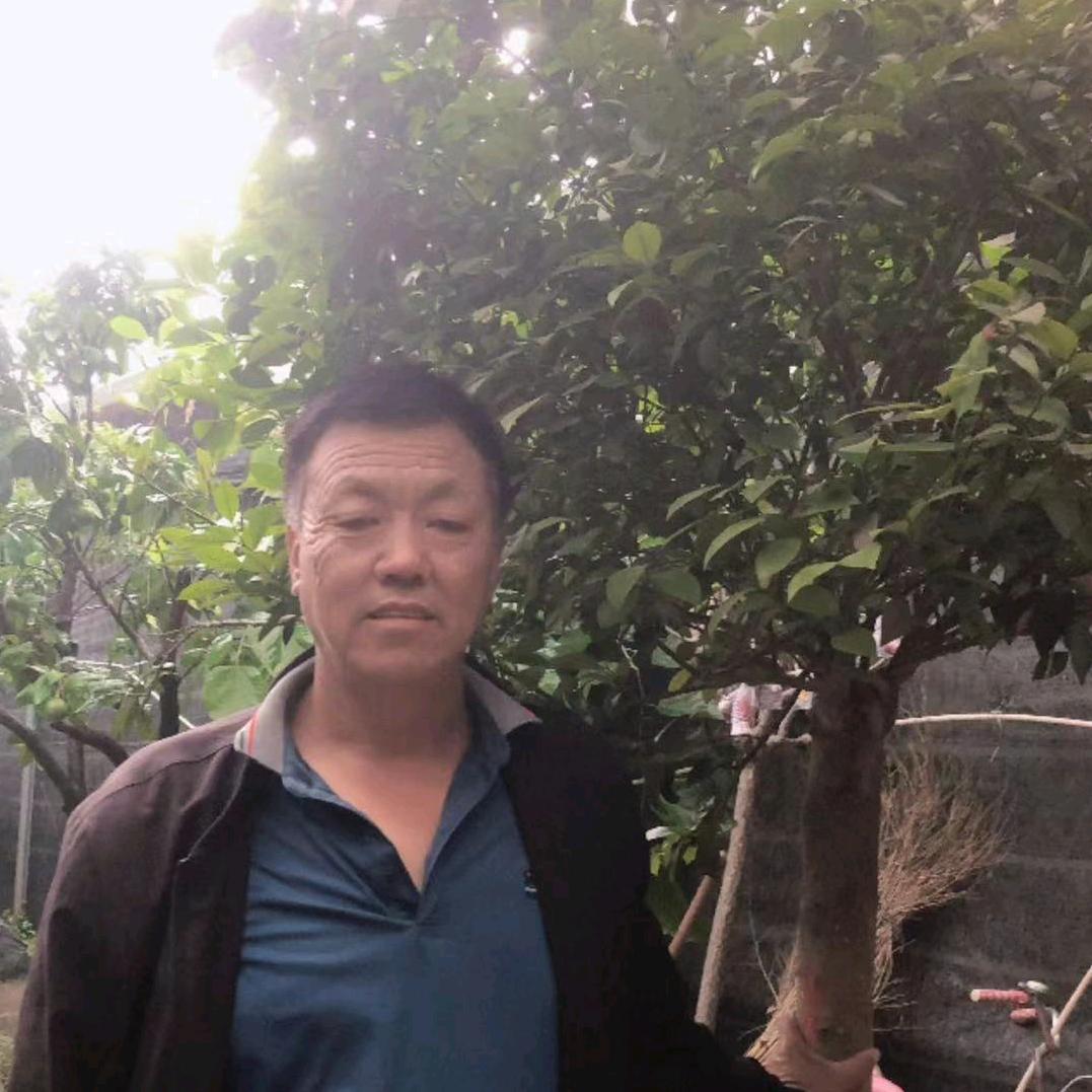 豫南李哥果树