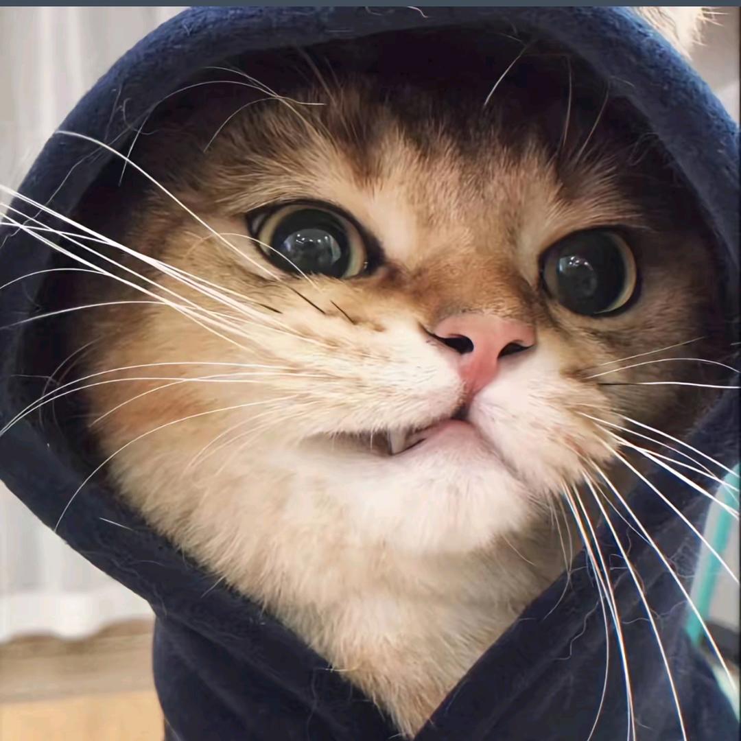 咖咖
