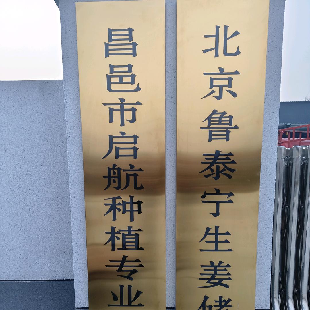 @鲁中兵哥