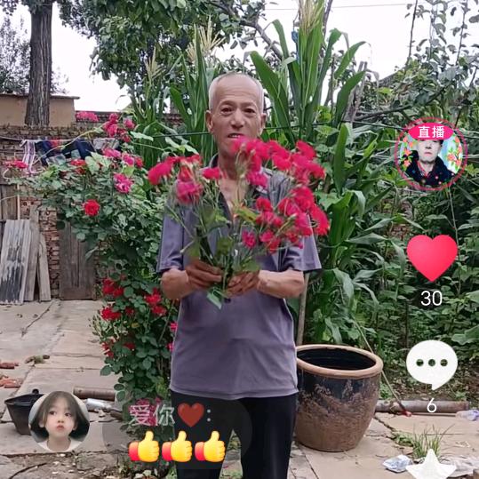 桃花开，