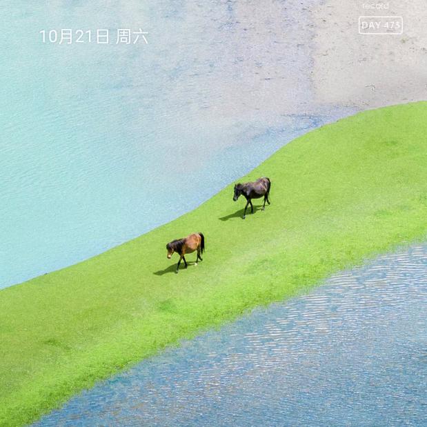 老王哥