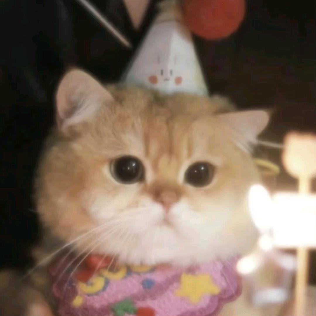菱儿