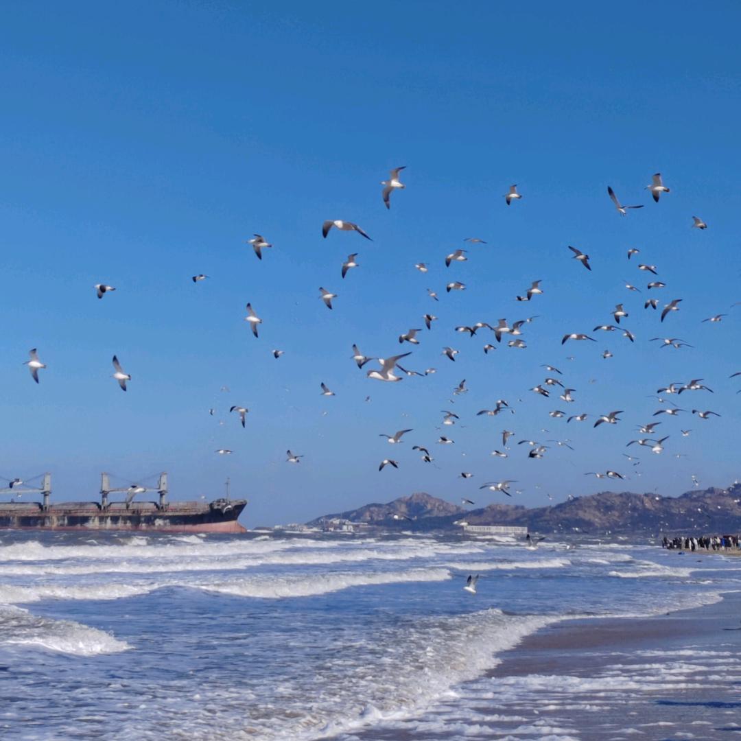 看海 听风（冉盛电气）