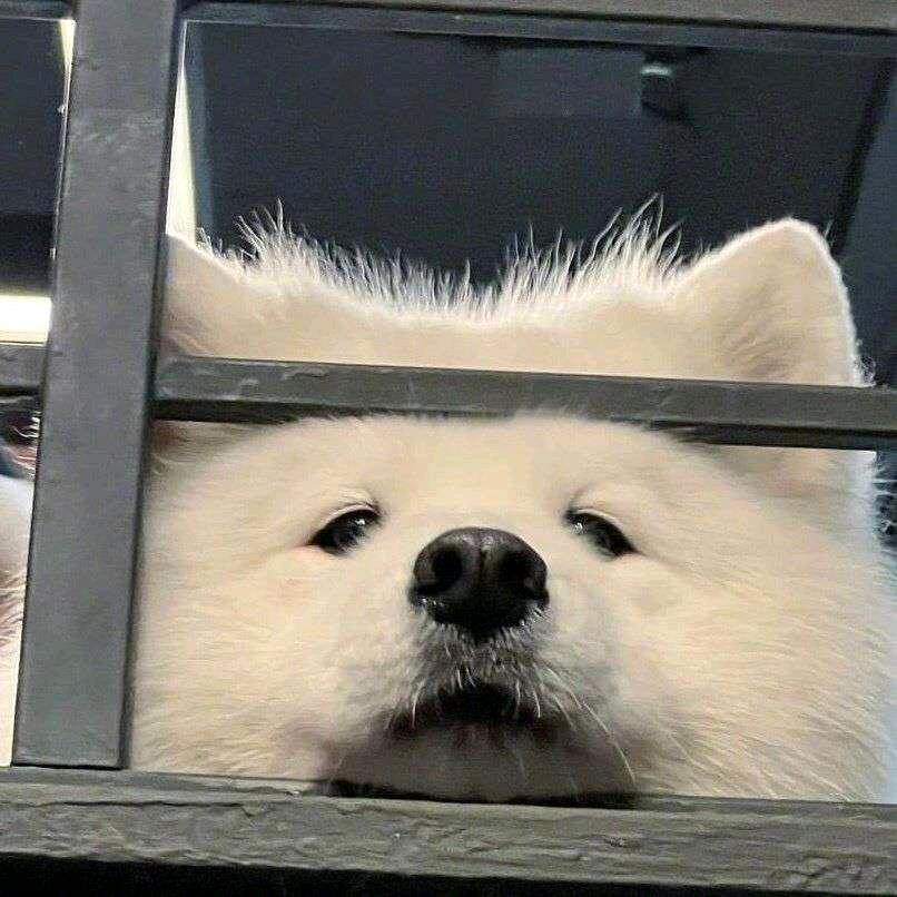 拾年