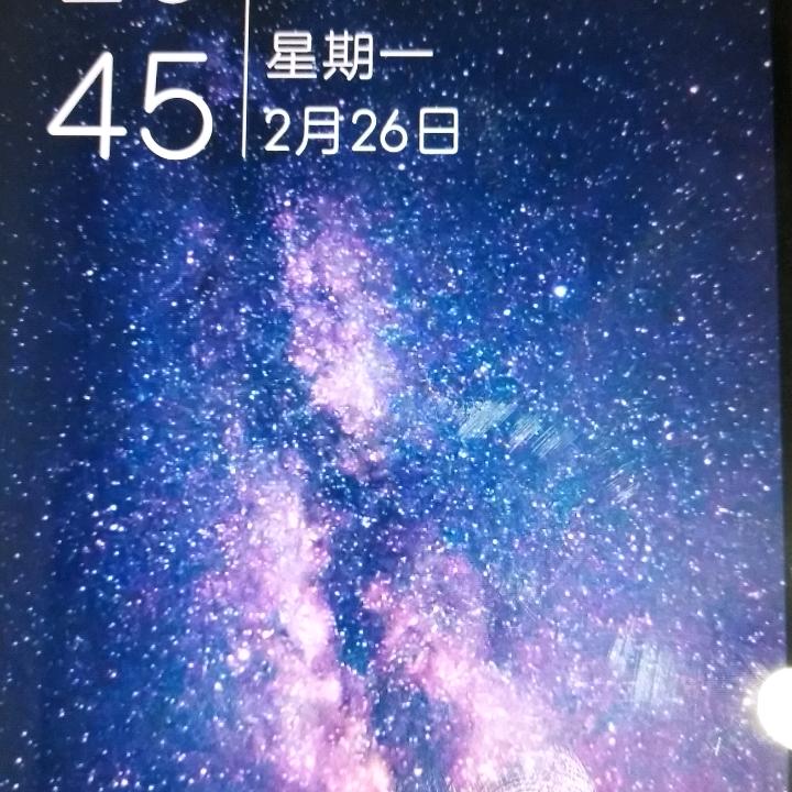 追风的猪