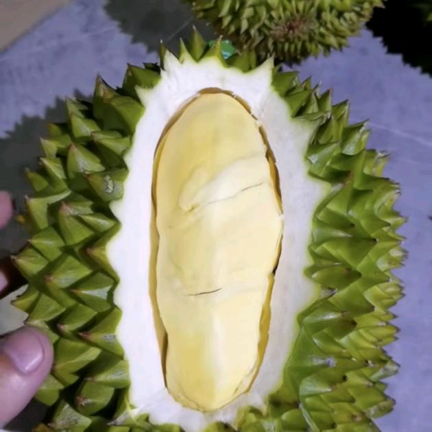 泰泰