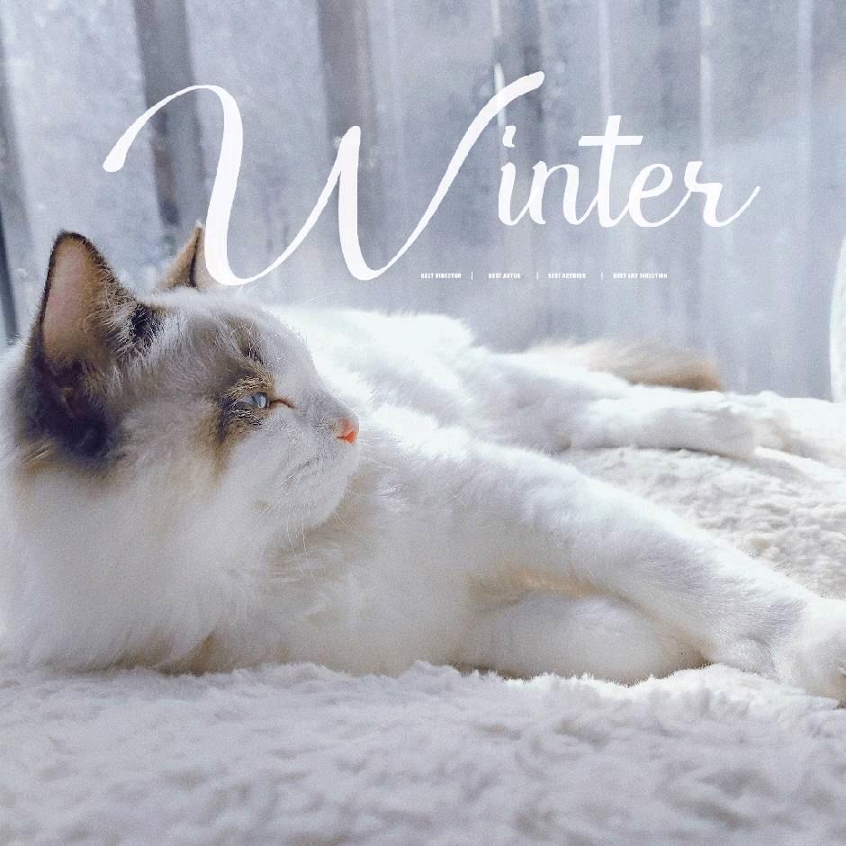 非正常人类研究中心