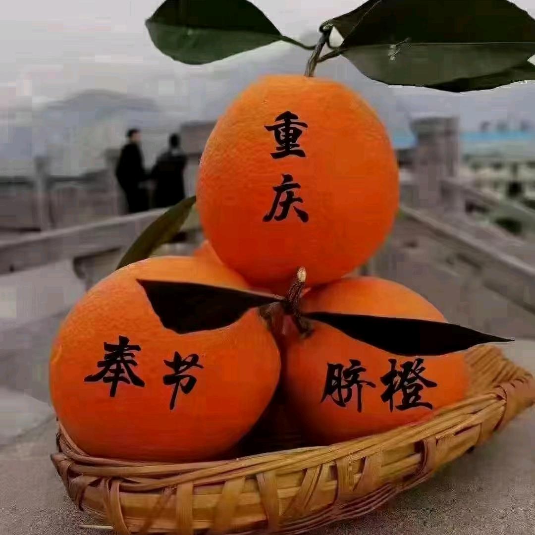 我只在乎你