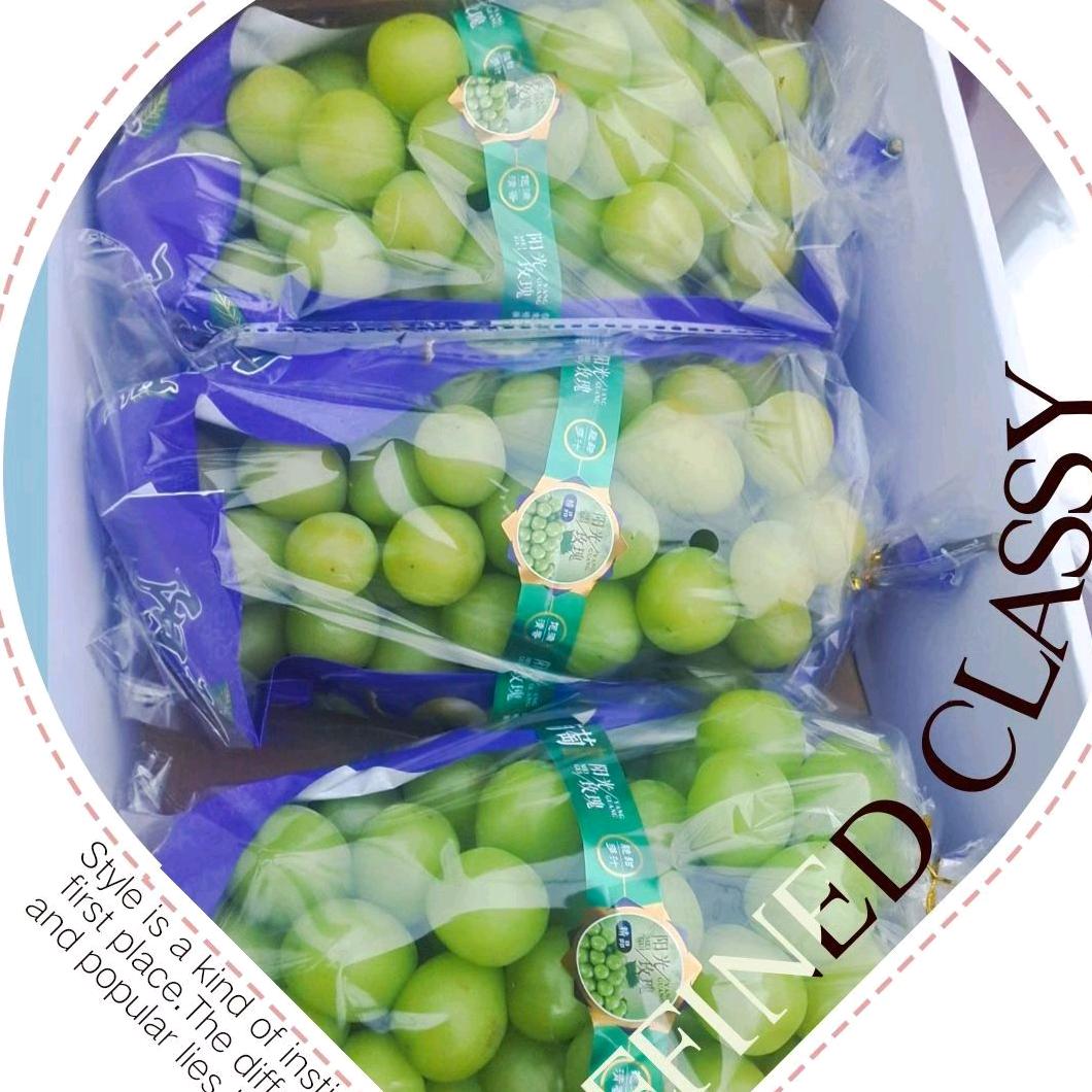 新时代农民（葡萄园丁）