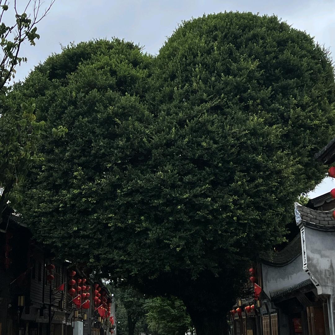 @对味