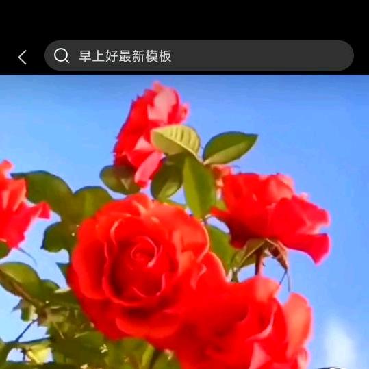 真诚