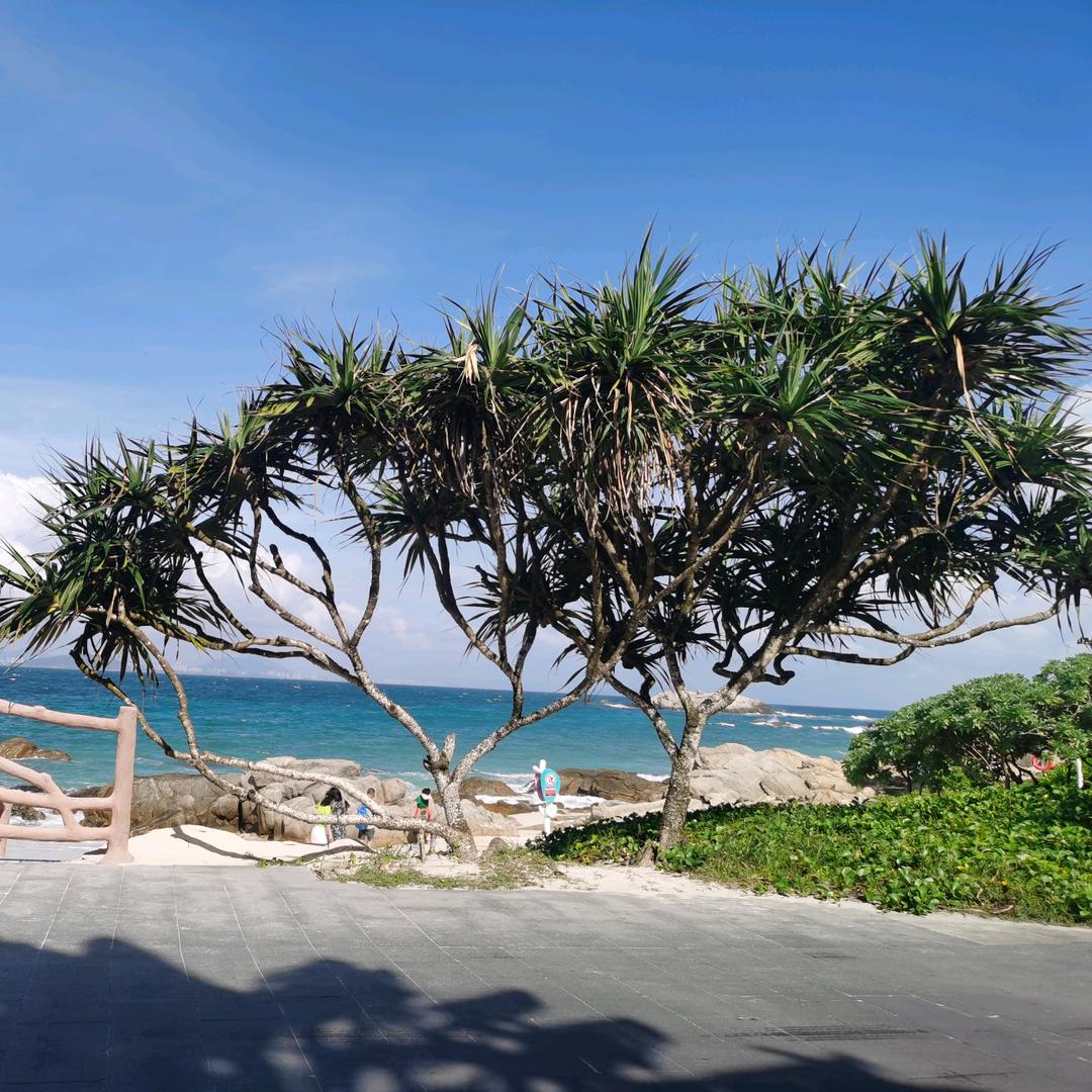 被遗忘了的旧时光