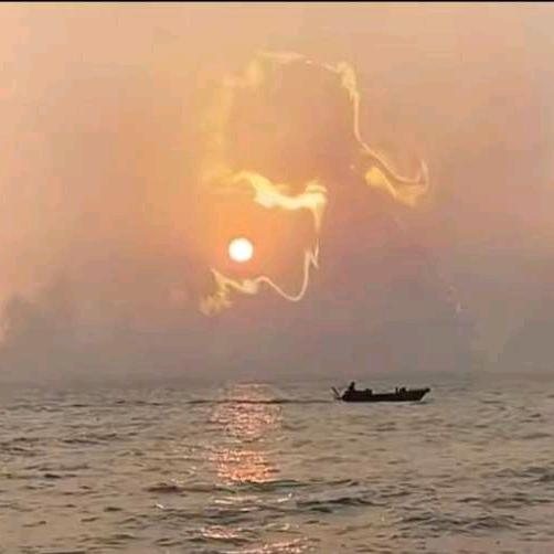 朝飞暮卷