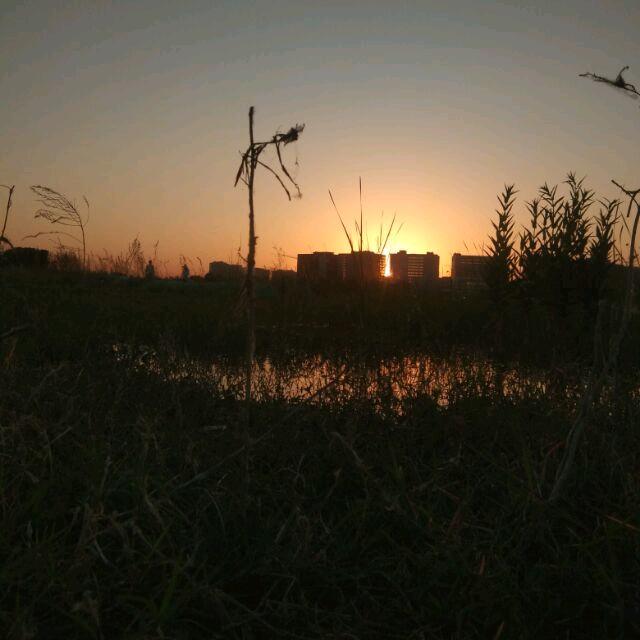 🍒人生🍒百味🍒