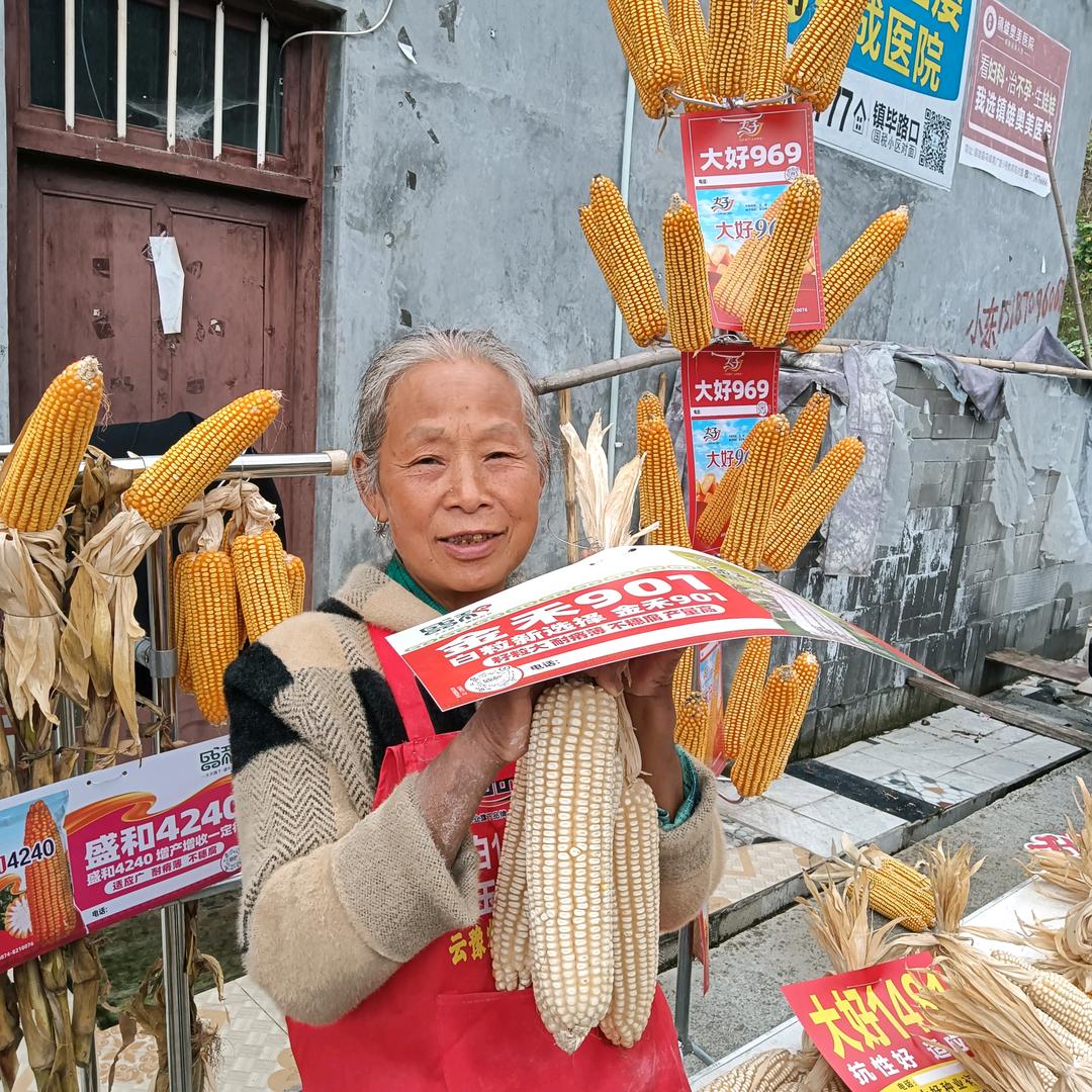 嘻嘻，嘻嘻
