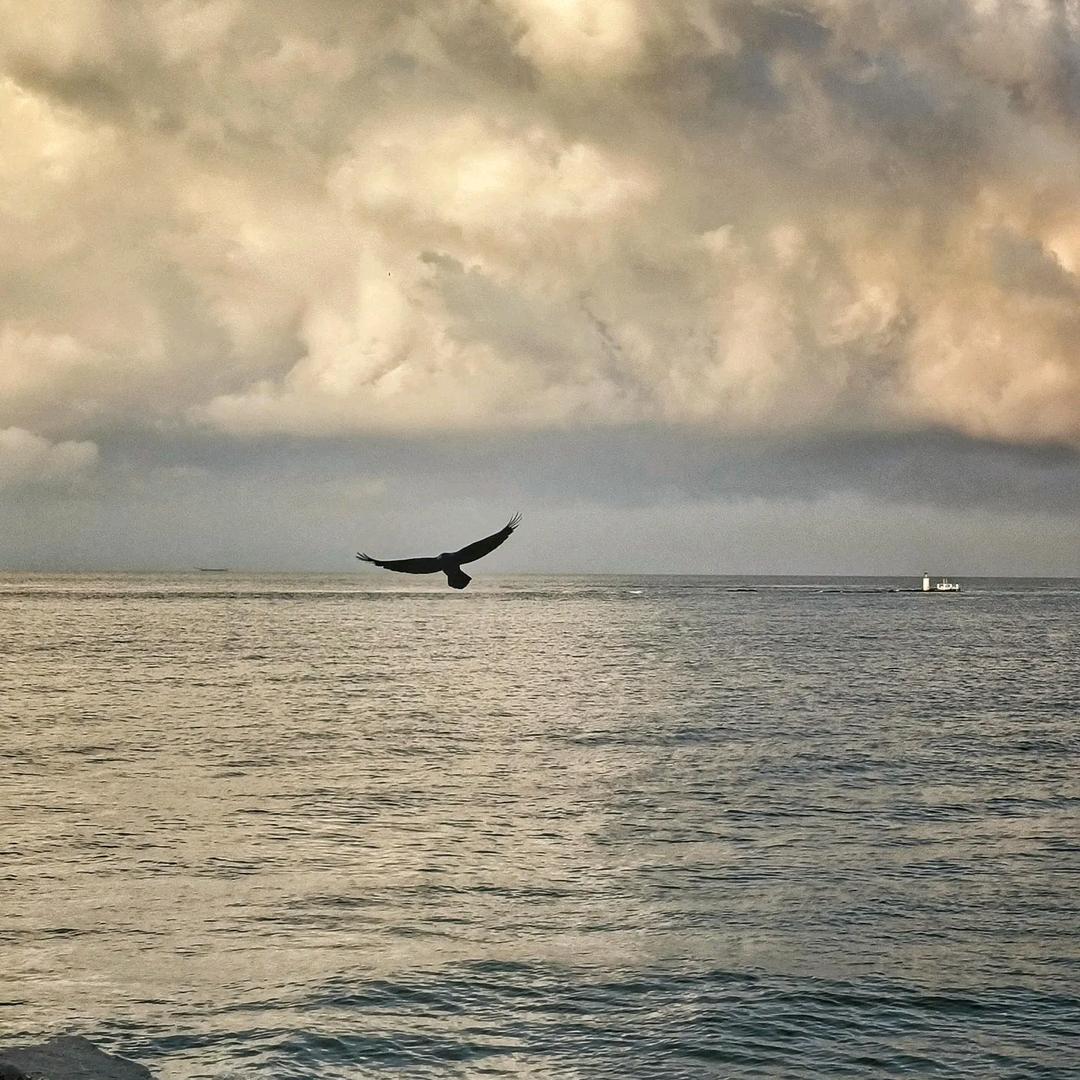 煎饼太郎🇨🇳（户外版）