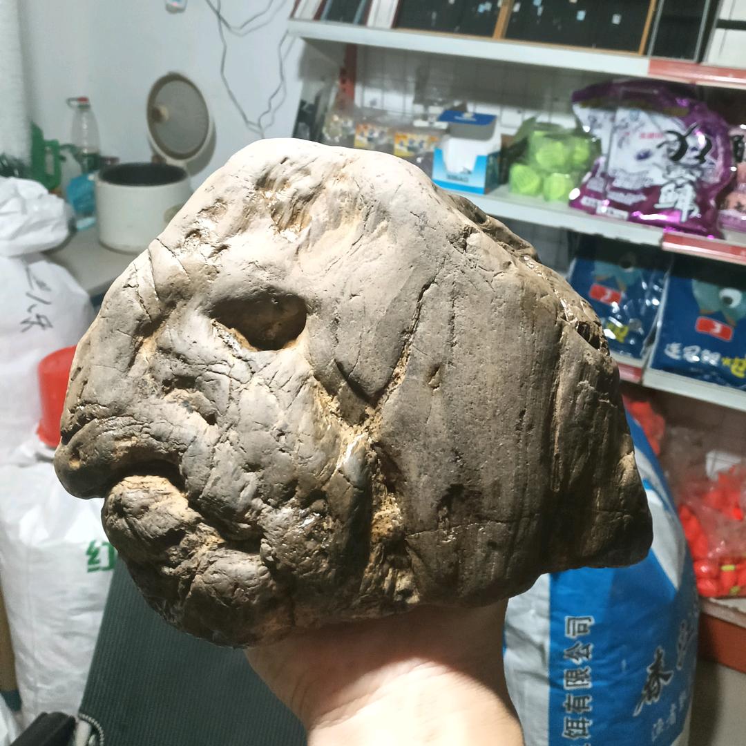 战神张楚岚