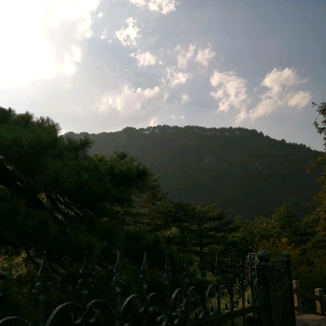 行走的云