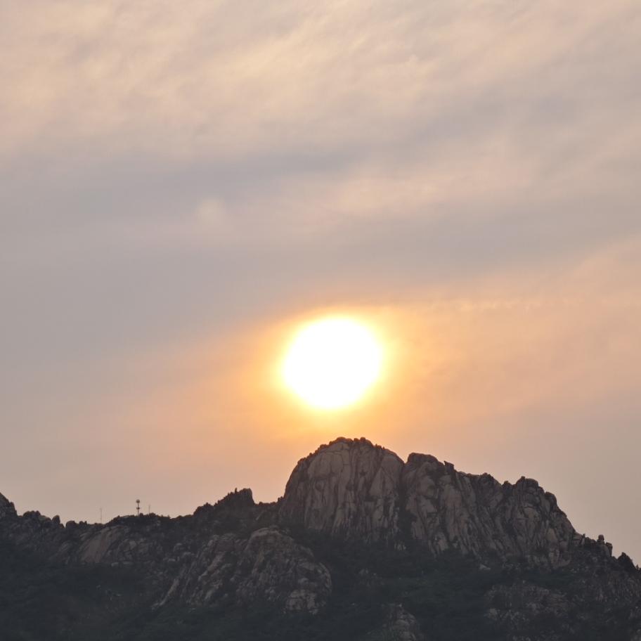 丁丁迪西拉拉波儿