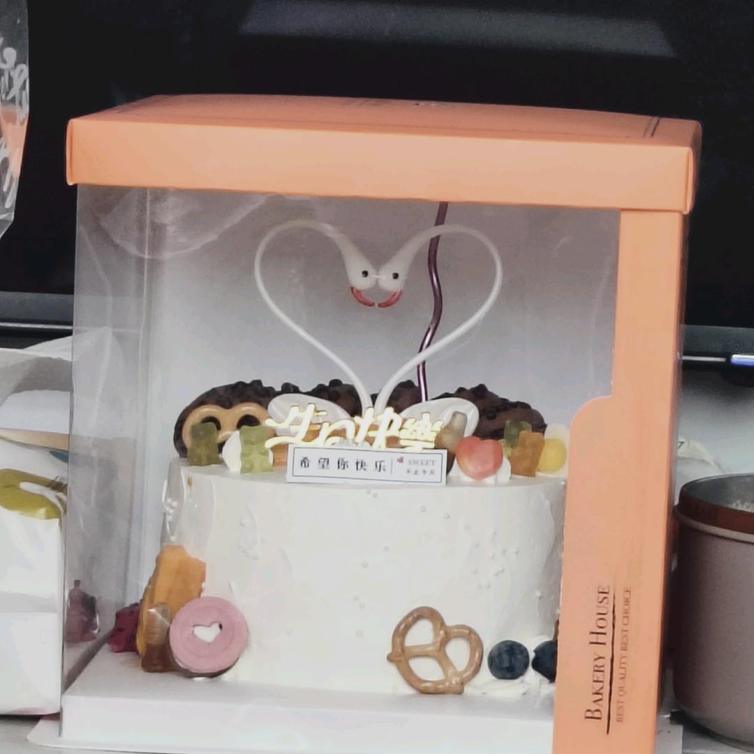 阳光总在风雨后.