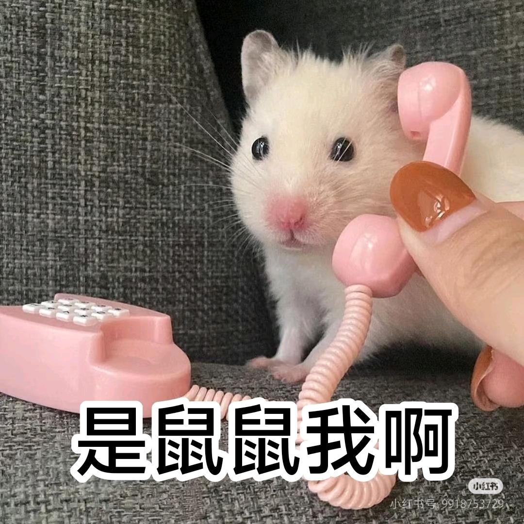 柒零