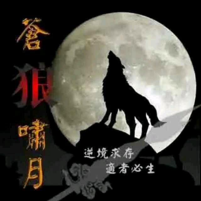 孤狼笑天