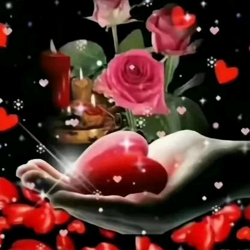 💞爱心💞