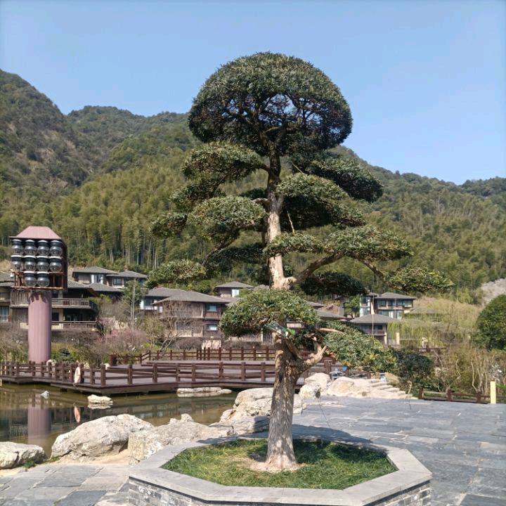 ᭄ྀི往后 ꦿ᭄࿐余生꧔ꦿ࿐