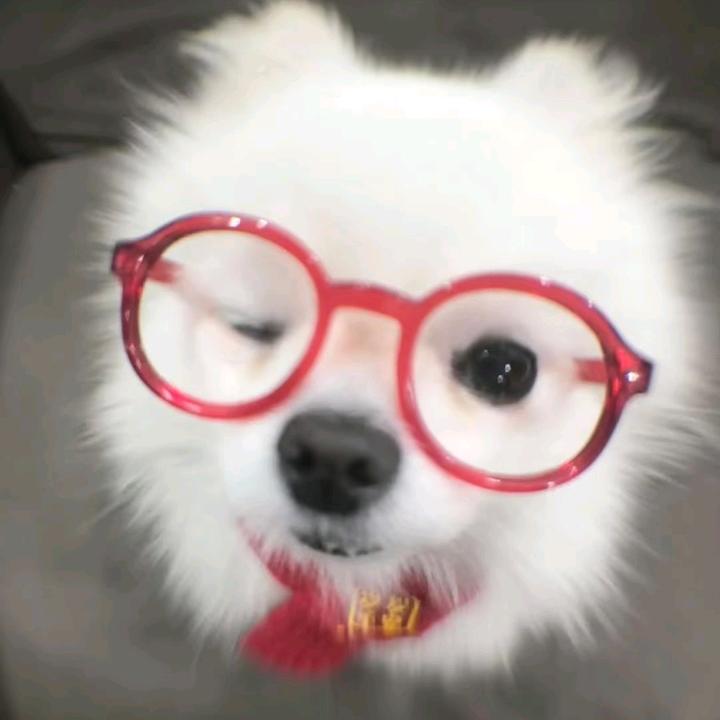 秦自习