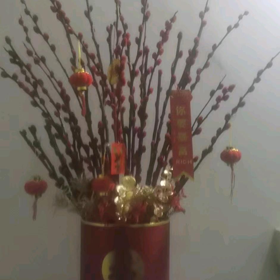 梦倩