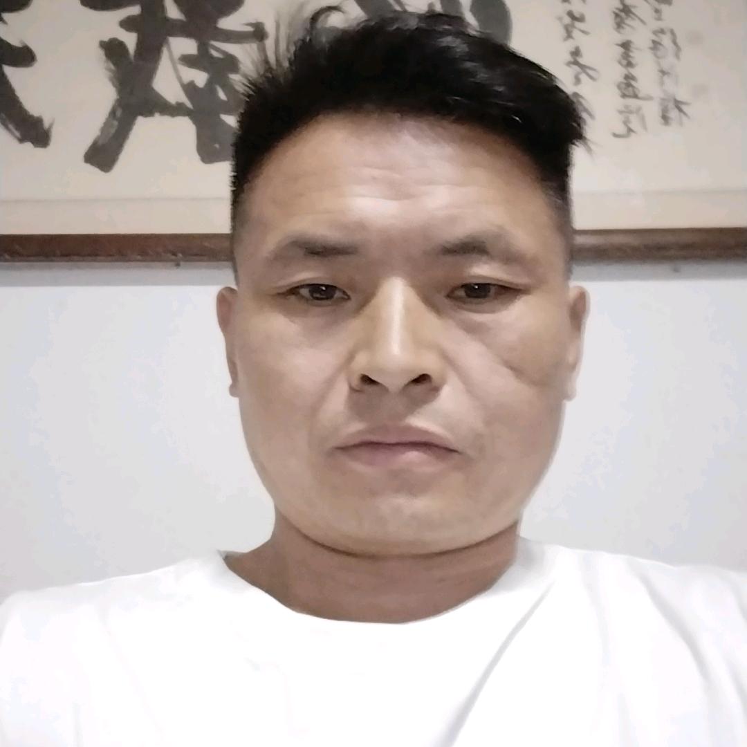 手机贴膜
