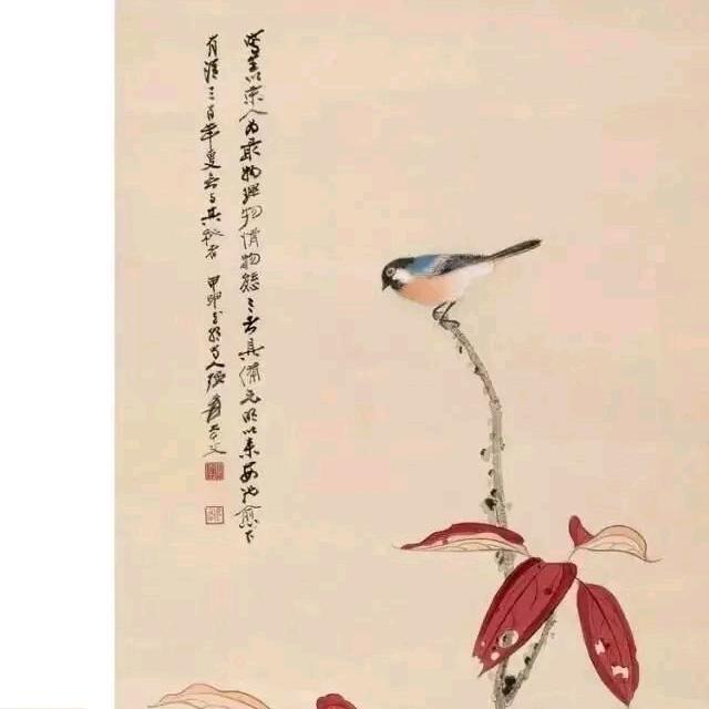 风雀先生