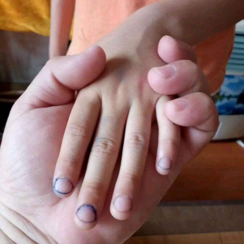 不锈钢做的韭菜