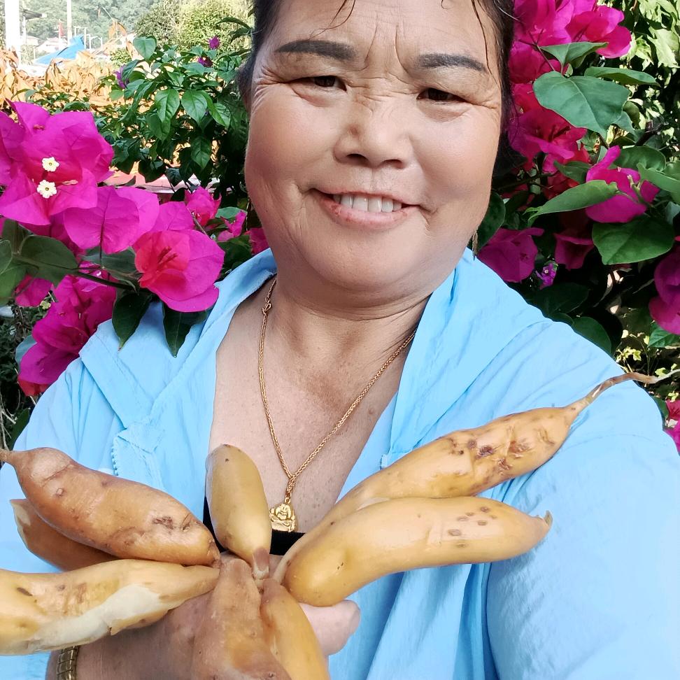 王万碧