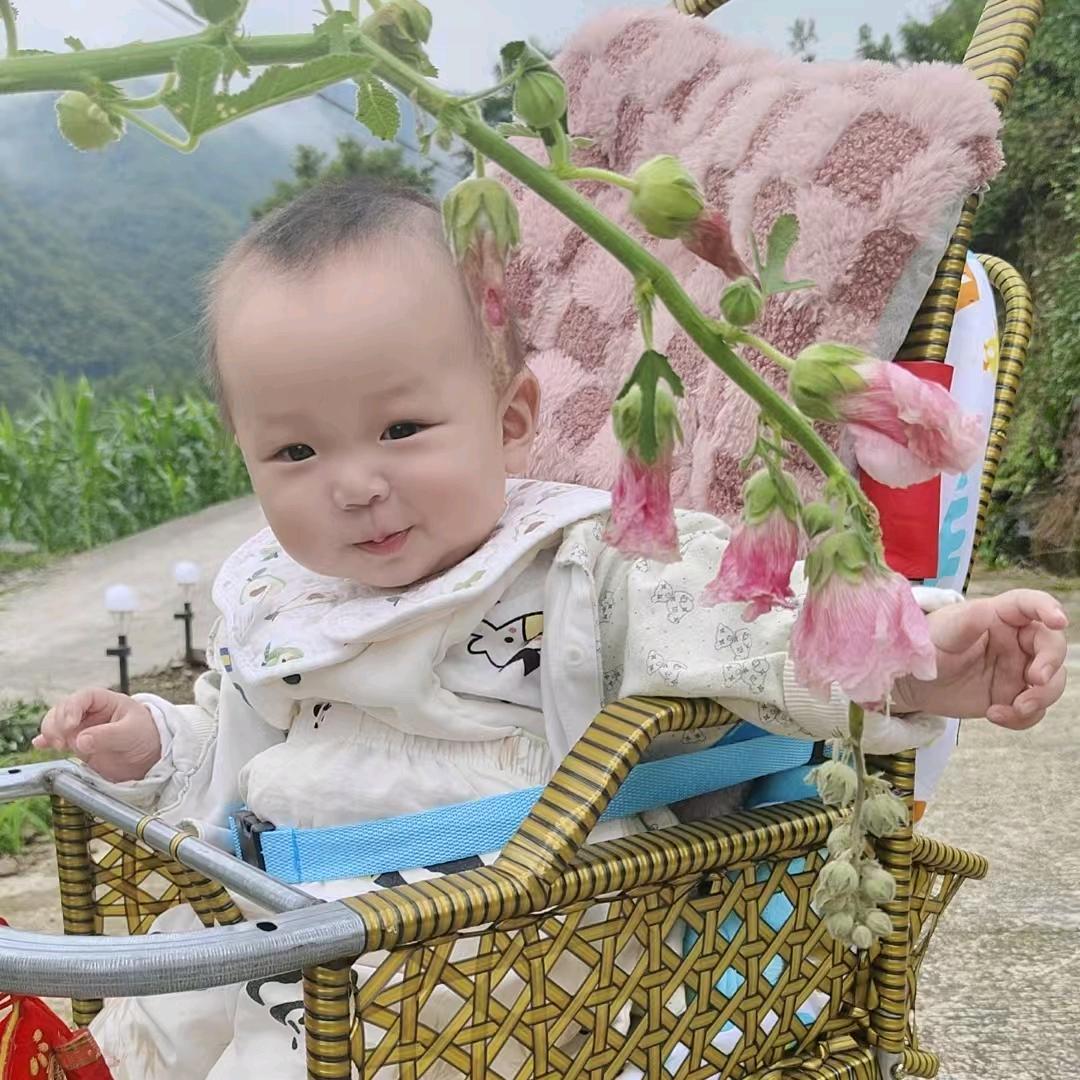 装修小鱼儿