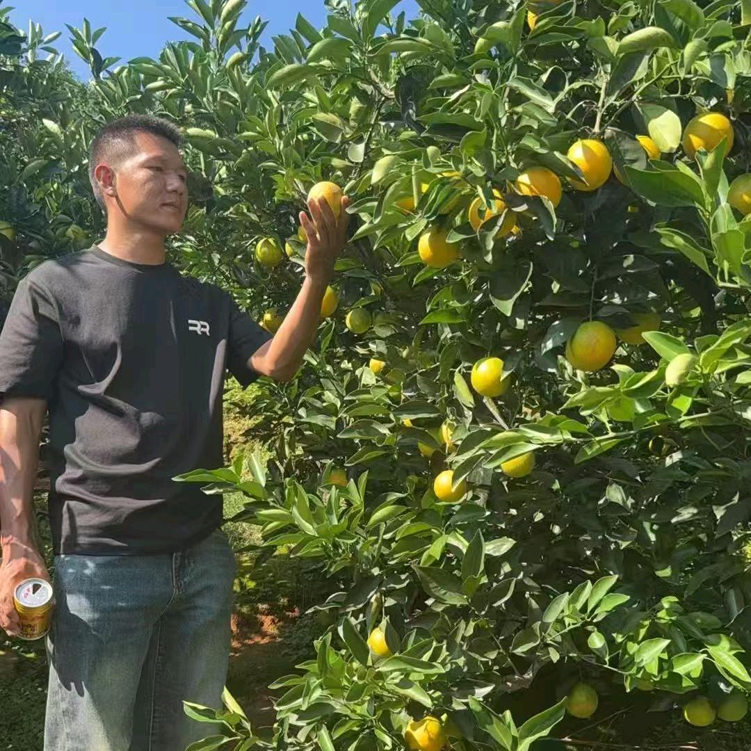 采购小王哥