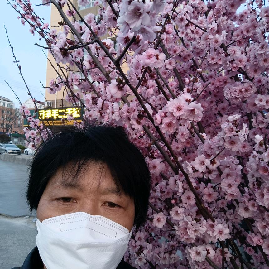 陶寒