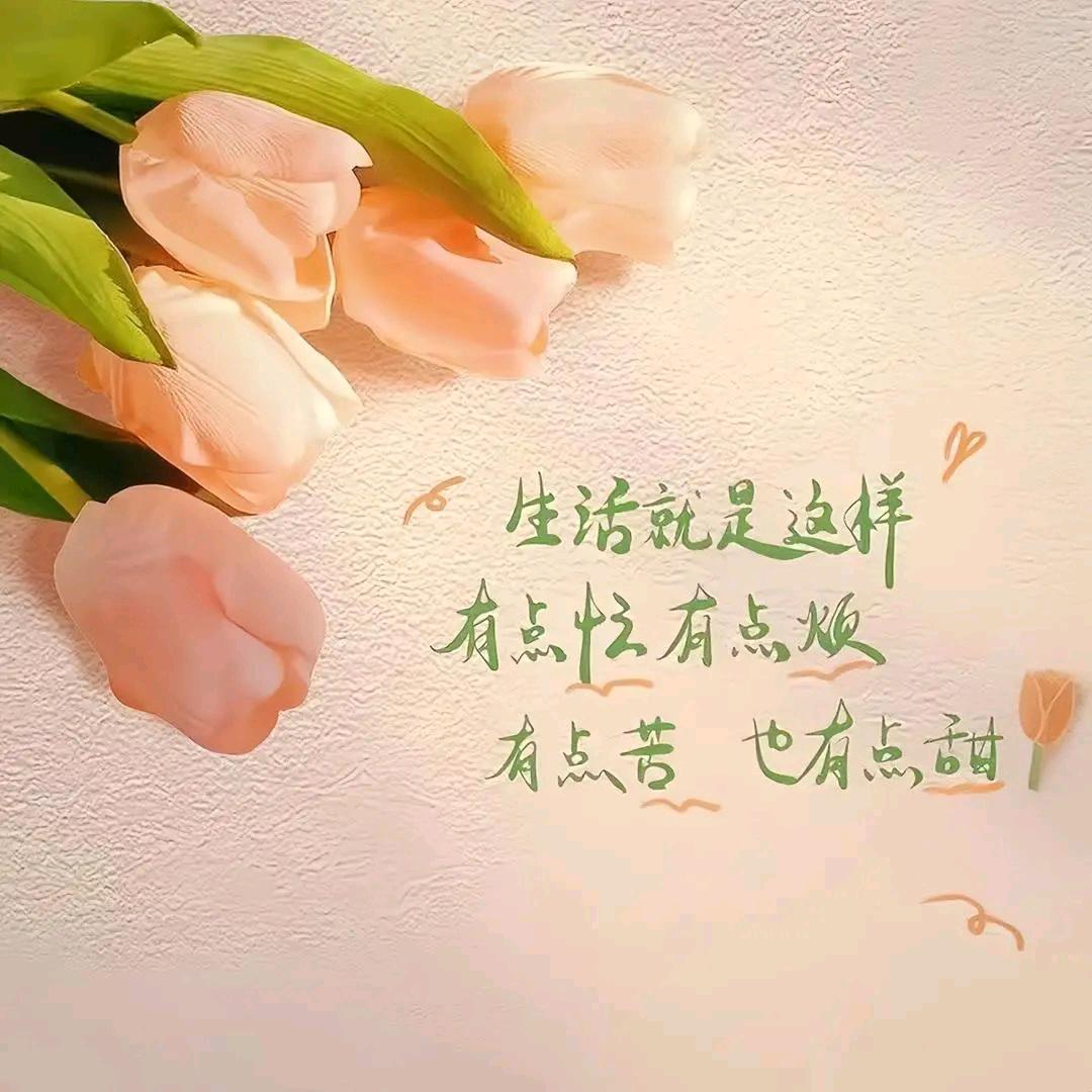 双木不成林