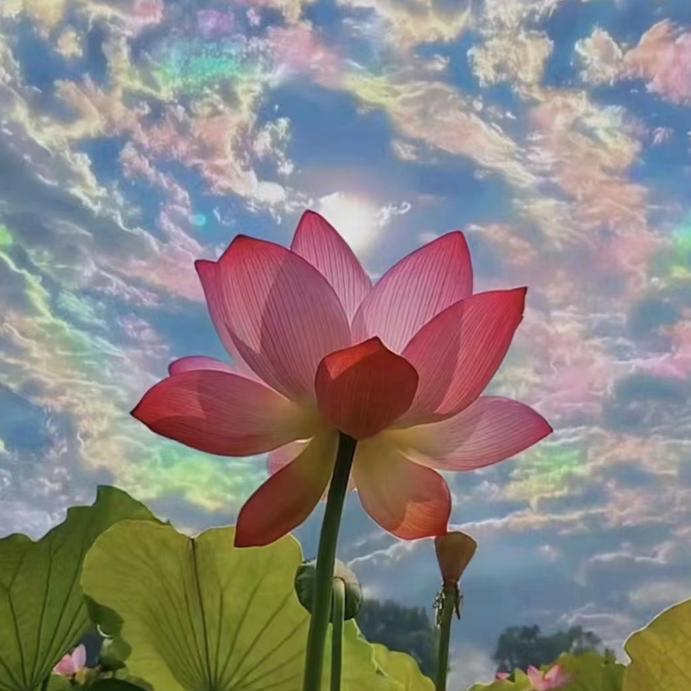 三宝