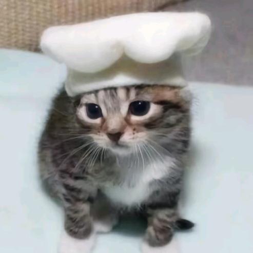 ˓˓ก小猫煲仔饭ค˒˒