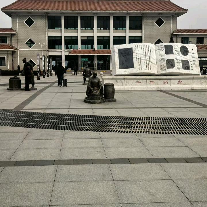 臣妾做不到