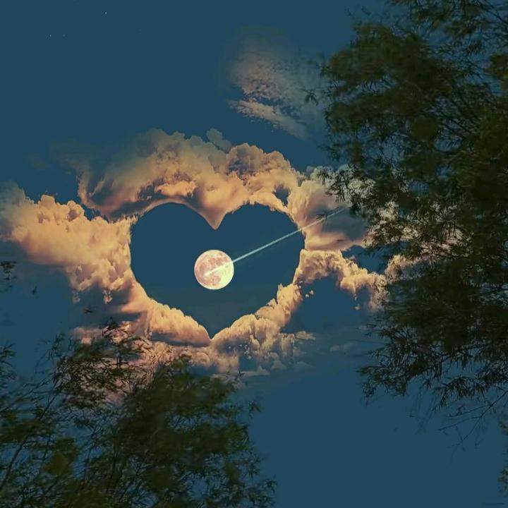 贺一鸣