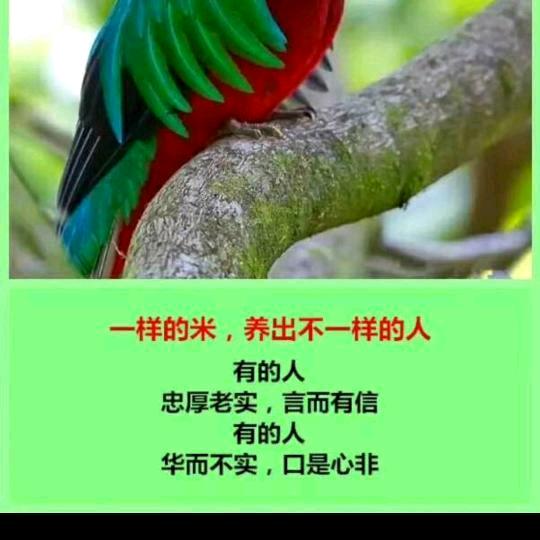 姚日白