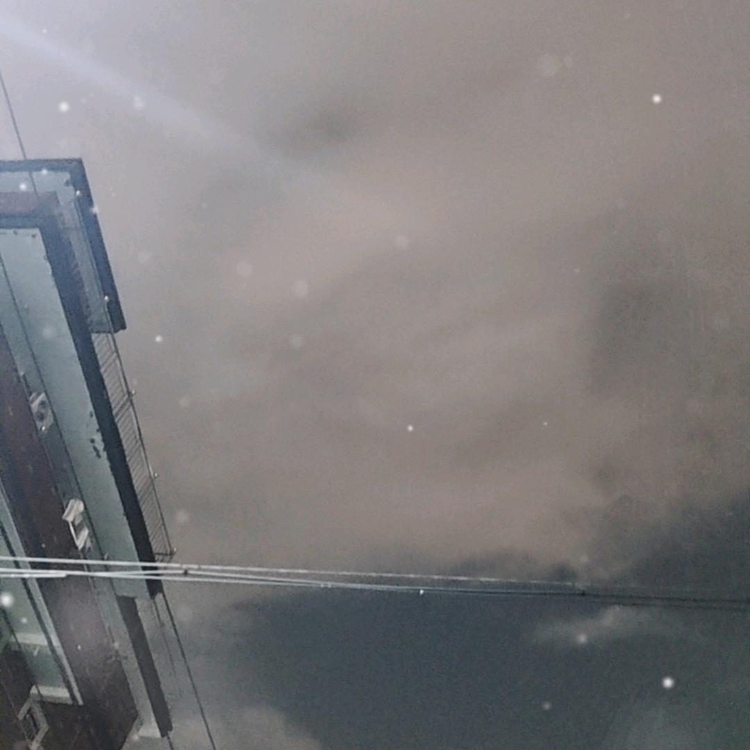 看雨又听风