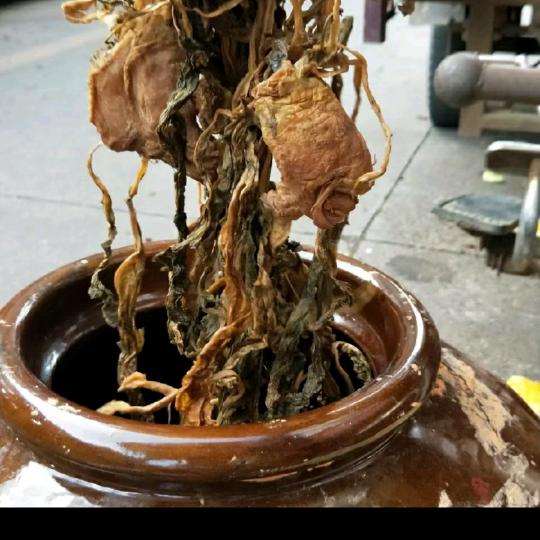永恒