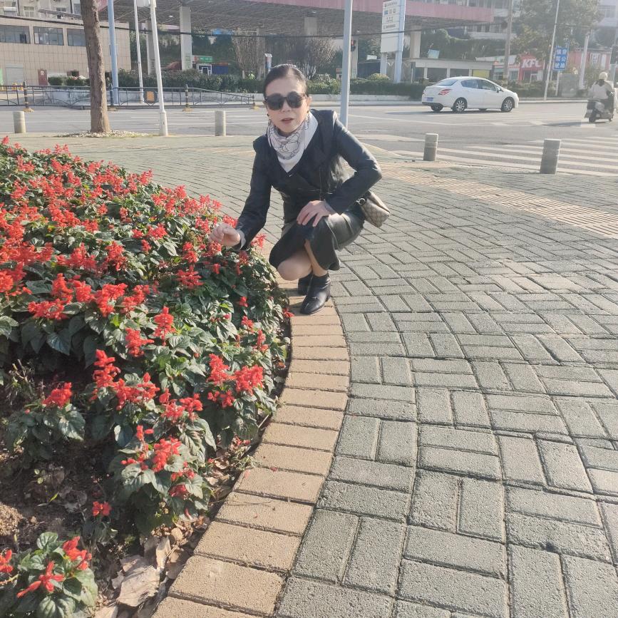 炅炅