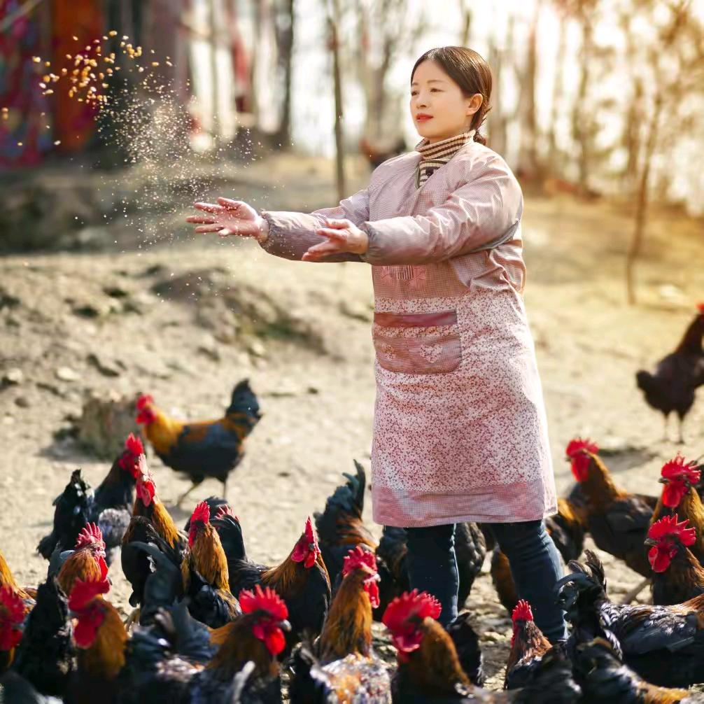 滑县豫牧饲料店