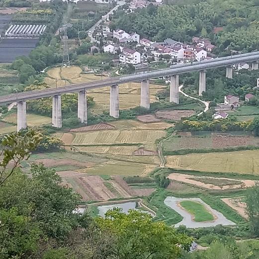 建筑木工团队👍