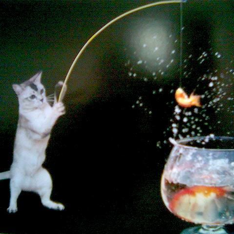 踪影（原创作）